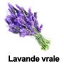 True Lavender essential oil