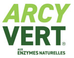 Logo Arcyvert