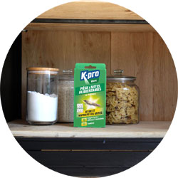 Kpro Green food moth trap