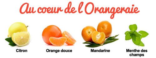 Composition of the synergy in the heart of the orange grove