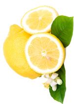 Citron Citron