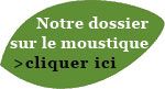 Accédez à notre dossier sur le moustique