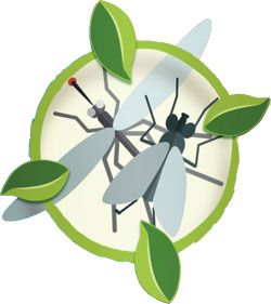 Aries, lutter naturellement contre les insectes volants Aries, lutter naturellement contre les insectes volants