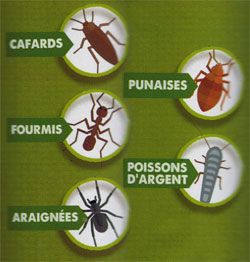 Cibles répulsifs pour insectes rampants Aries Cibles répulsifs pour insectes rampants Aries