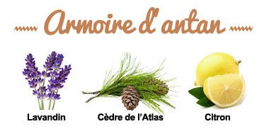 Composition de la synergie Armoire d'Antan Composition de la synergie Armoire d'Antan